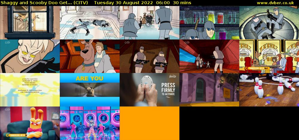 Shaggy and Scooby Doo Get... (CITV) Tuesday 30 August 2022 06:00 - 06:30