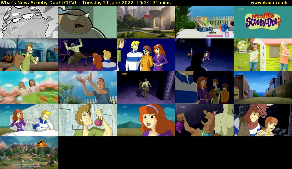 What's New, Scooby-Doo? (CITV) Tuesday 21 June 2022 19:24 - 19:55
