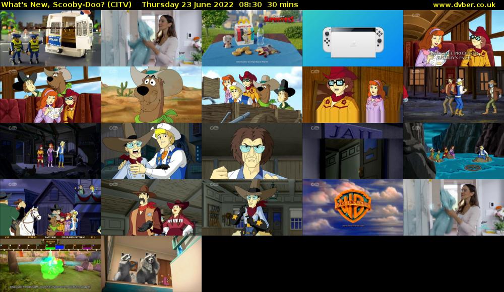 What's New, Scooby-Doo? (CITV) Thursday 23 June 2022 08:30 - 09:00