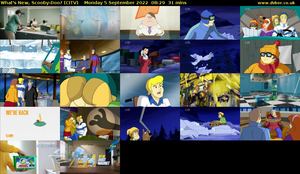 What's New, Scooby-Doo? (CITV) Monday 5 September 2022 08:29 - 09:00