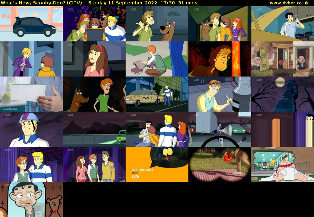 What's New, Scooby-Doo? (CITV) Sunday 11 September 2022 17:30 - 18:01