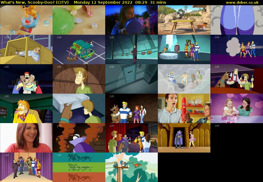 What's New, Scooby-Doo? (CITV) Monday 12 September 2022 08:29 - 09:00