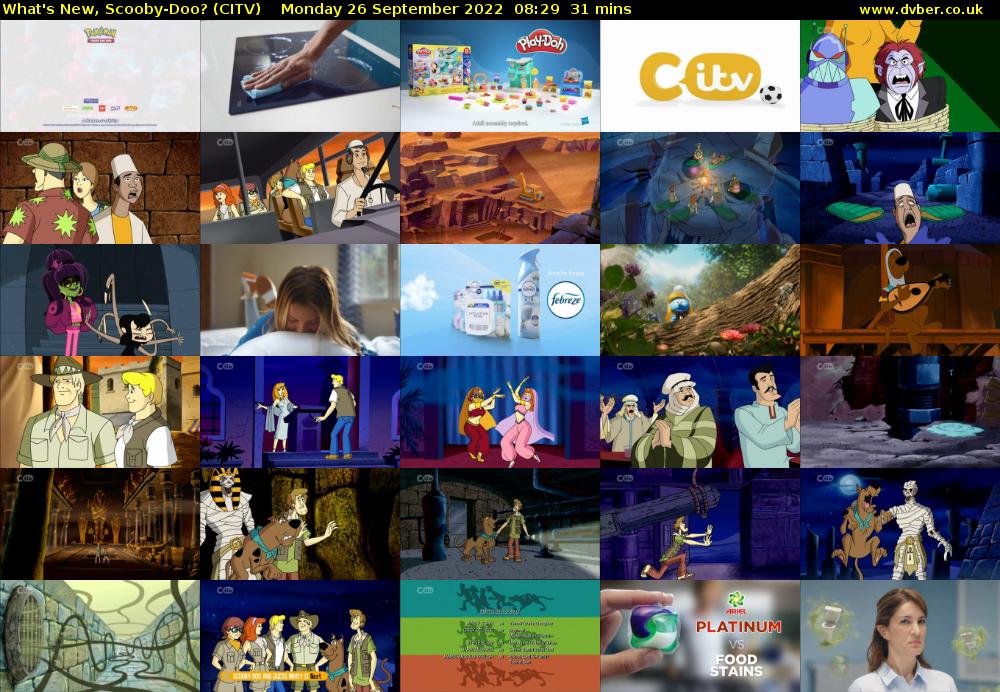 What's New, Scooby-Doo? (CITV) Monday 26 September 2022 08:29 - 09:00