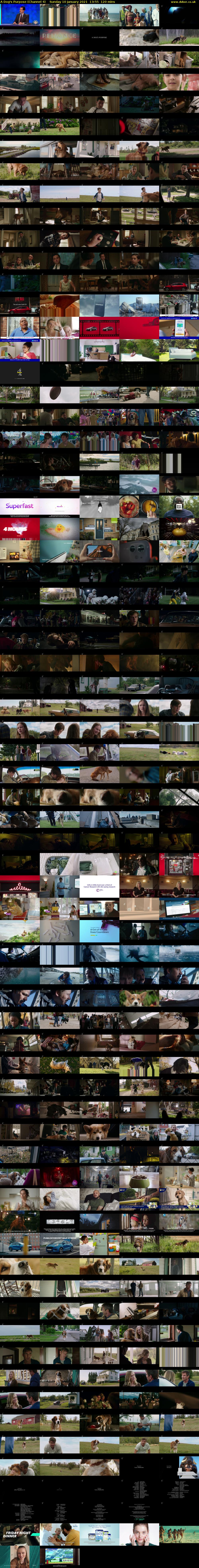 A Dog's Purpose (Channel 4) Sunday 10 January 2021 13:55 - 15:55