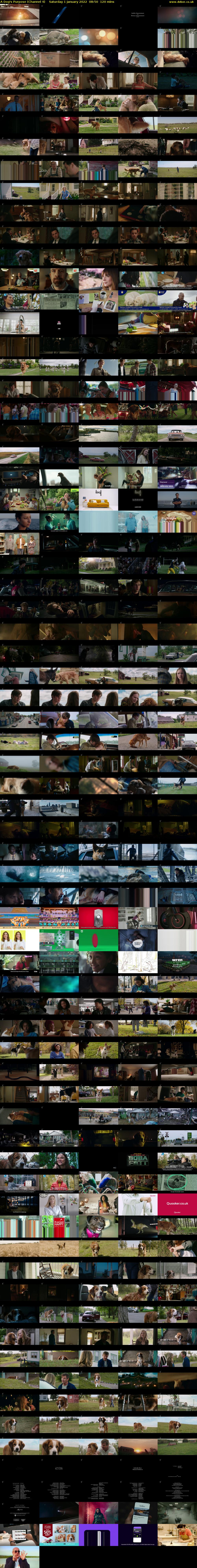 A Dog's Purpose (Channel 4) Saturday 1 January 2022 08:50 - 10:50