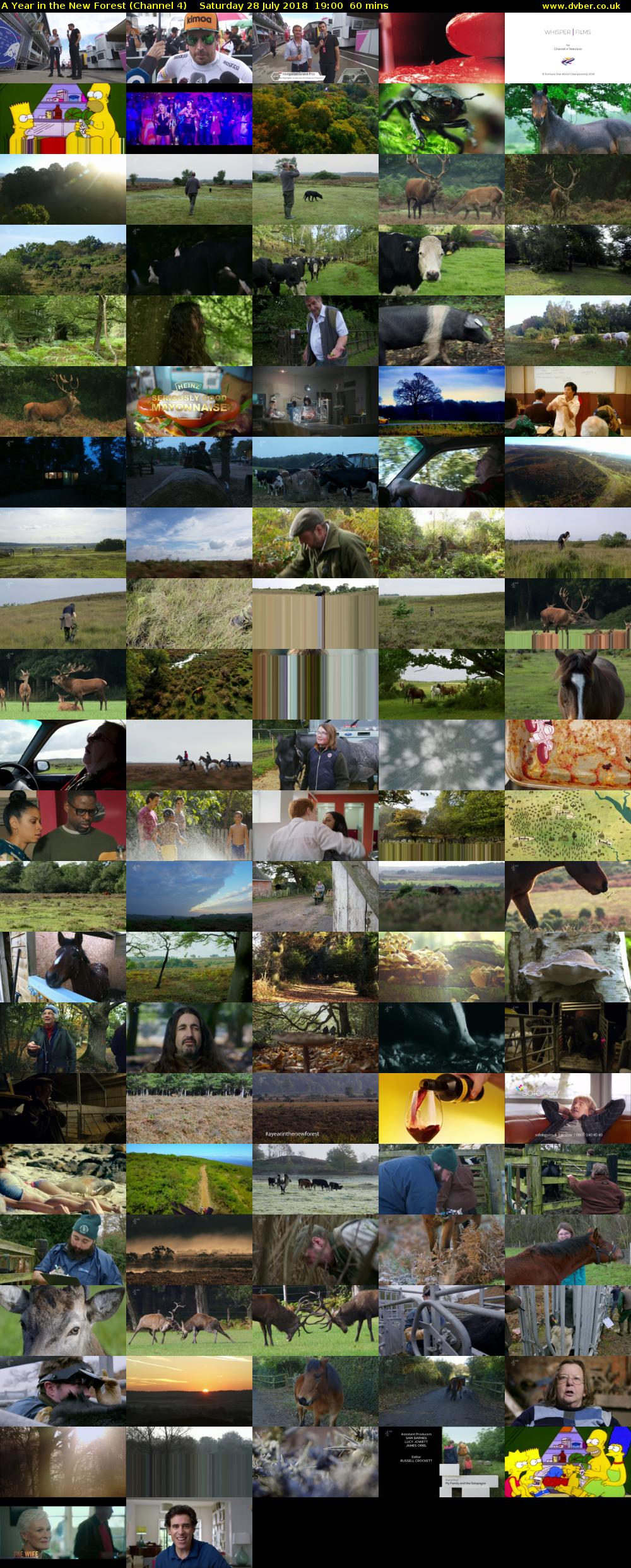 A Year in the New Forest (Channel 4) Saturday 28 July 2018 19:00 - 20:00