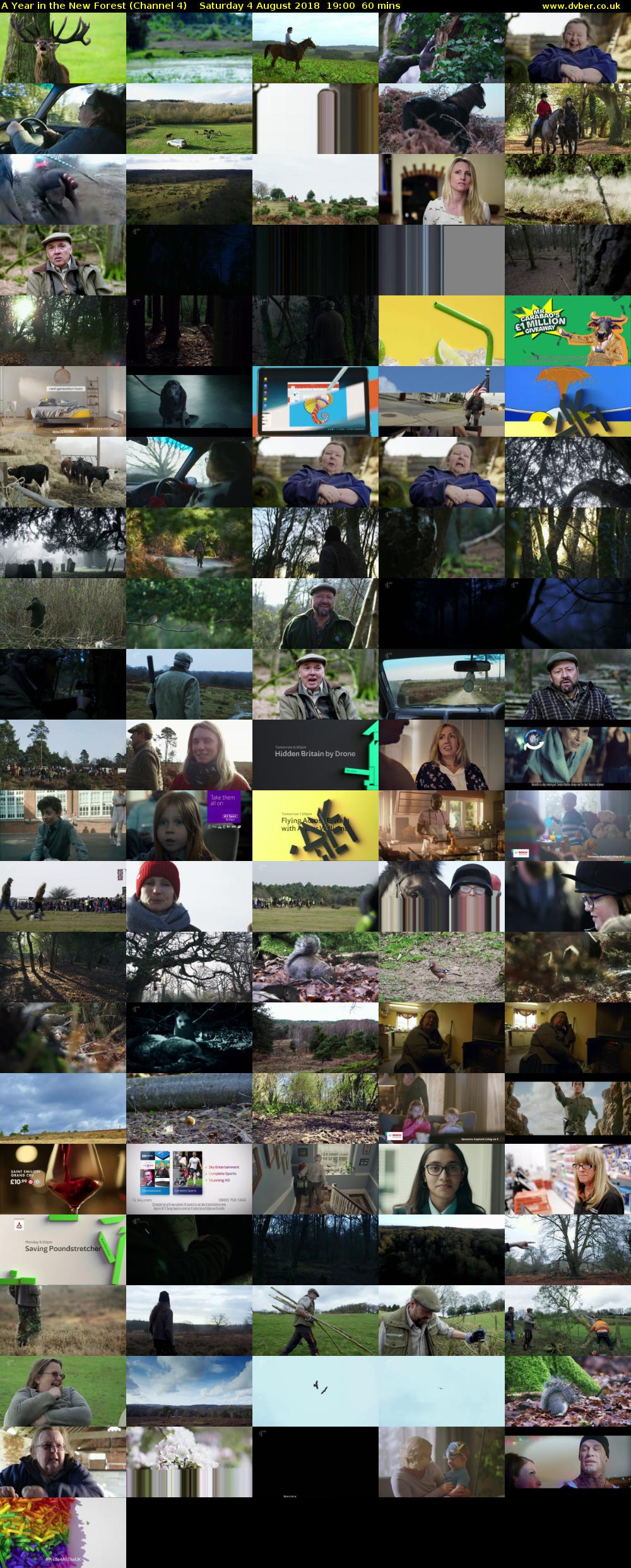 A Year in the New Forest (Channel 4) Saturday 4 August 2018 19:00 - 20:00