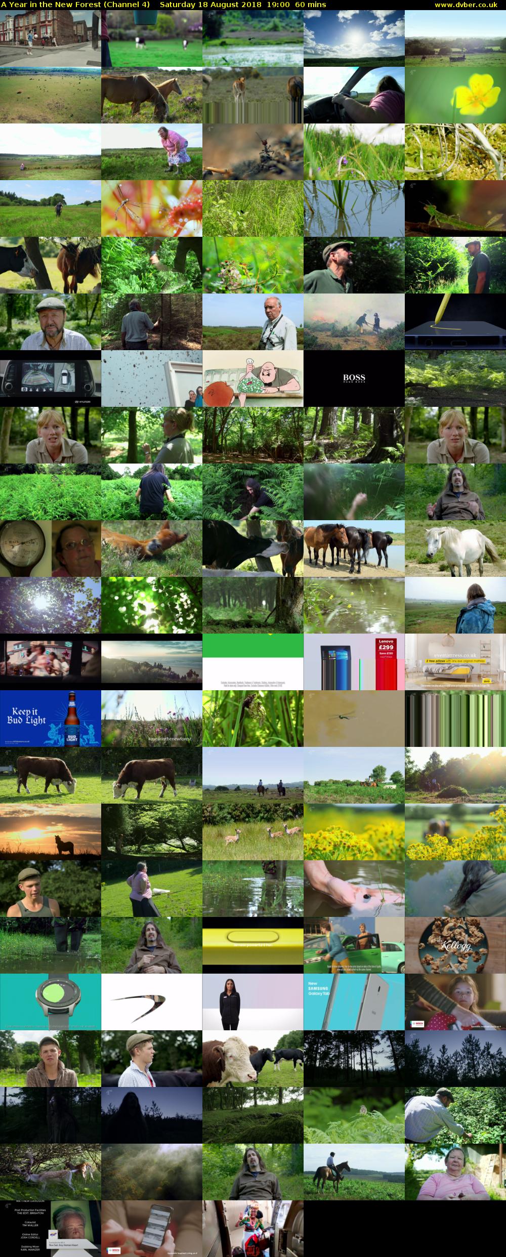 A Year in the New Forest (Channel 4) Saturday 18 August 2018 19:00 - 20:00