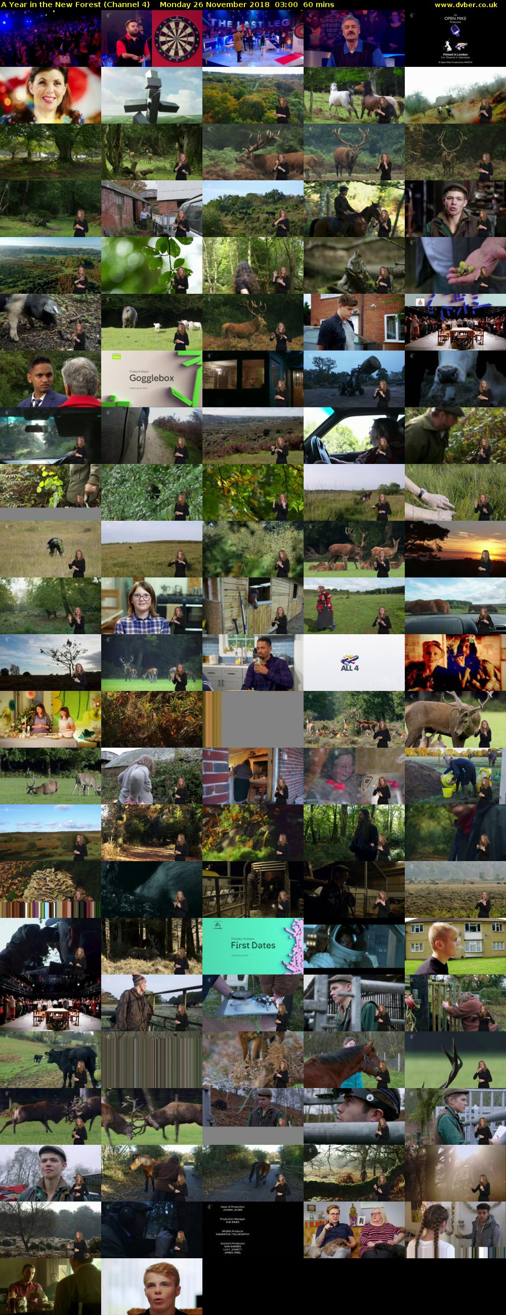 A Year in the New Forest (Channel 4) Monday 26 November 2018 03:00 - 04:00