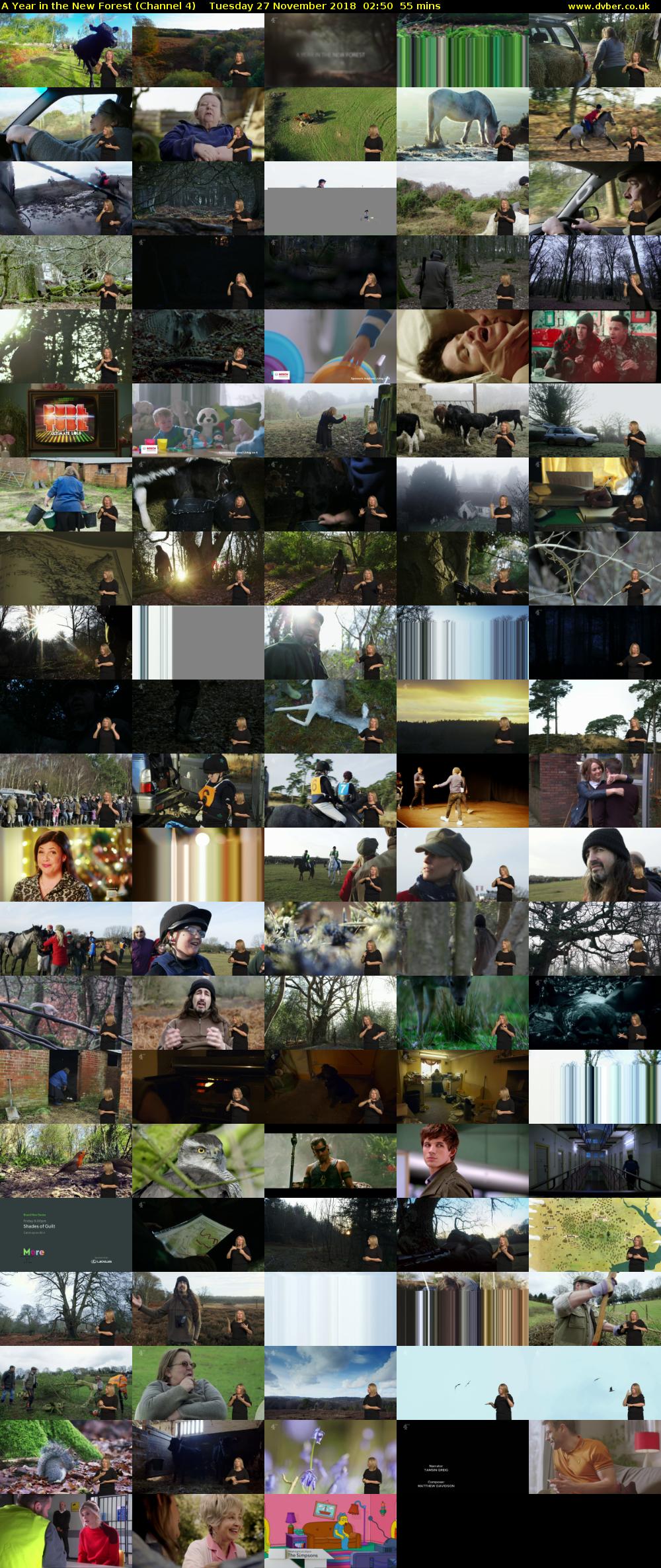 A Year in the New Forest (Channel 4) Tuesday 27 November 2018 02:50 - 03:45
