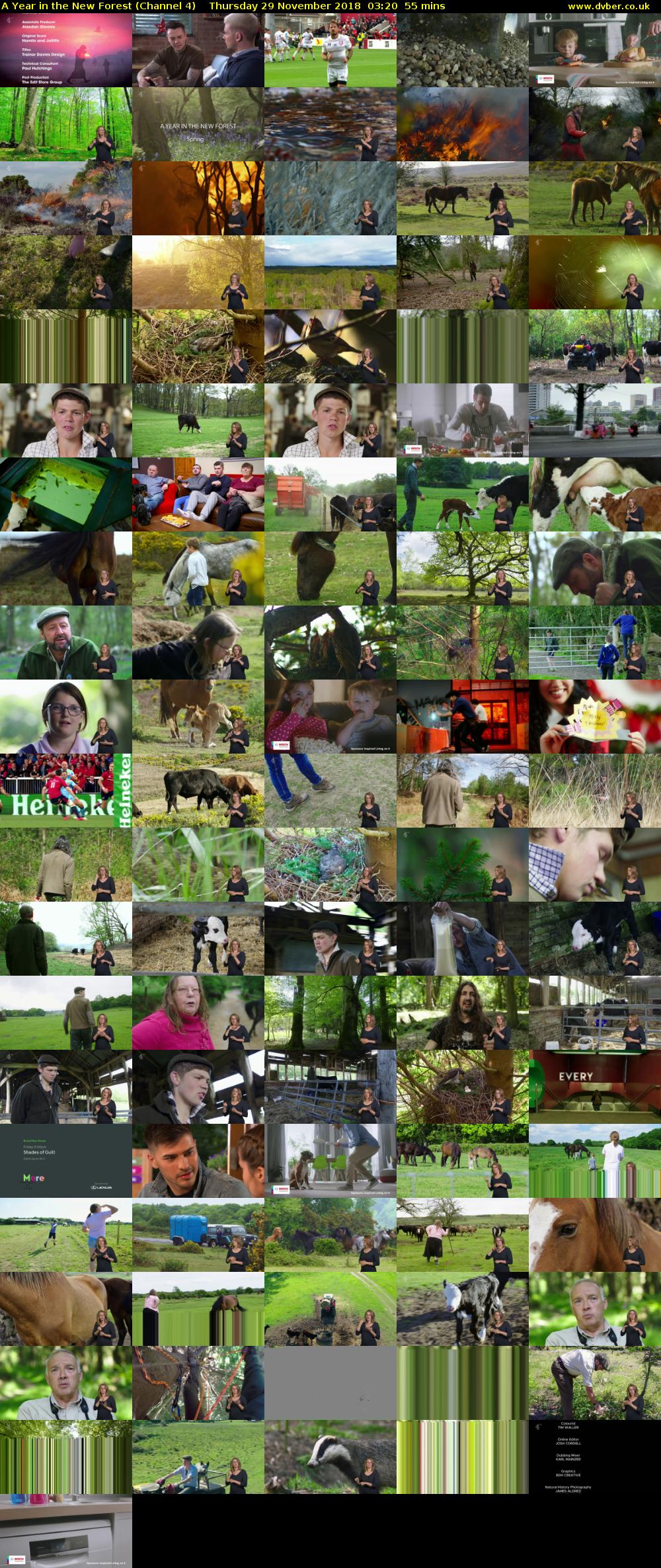A Year in the New Forest (Channel 4) Thursday 29 November 2018 03:20 - 04:15