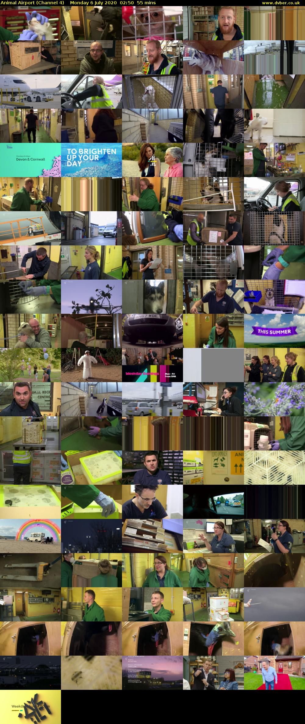 Animal Airport (Channel 4) Monday 6 July 2020 02:50 - 03:45