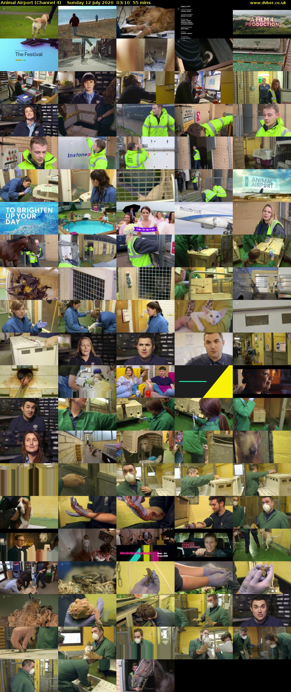 Animal Airport (Channel 4) Sunday 12 July 2020 03:10 - 04:05