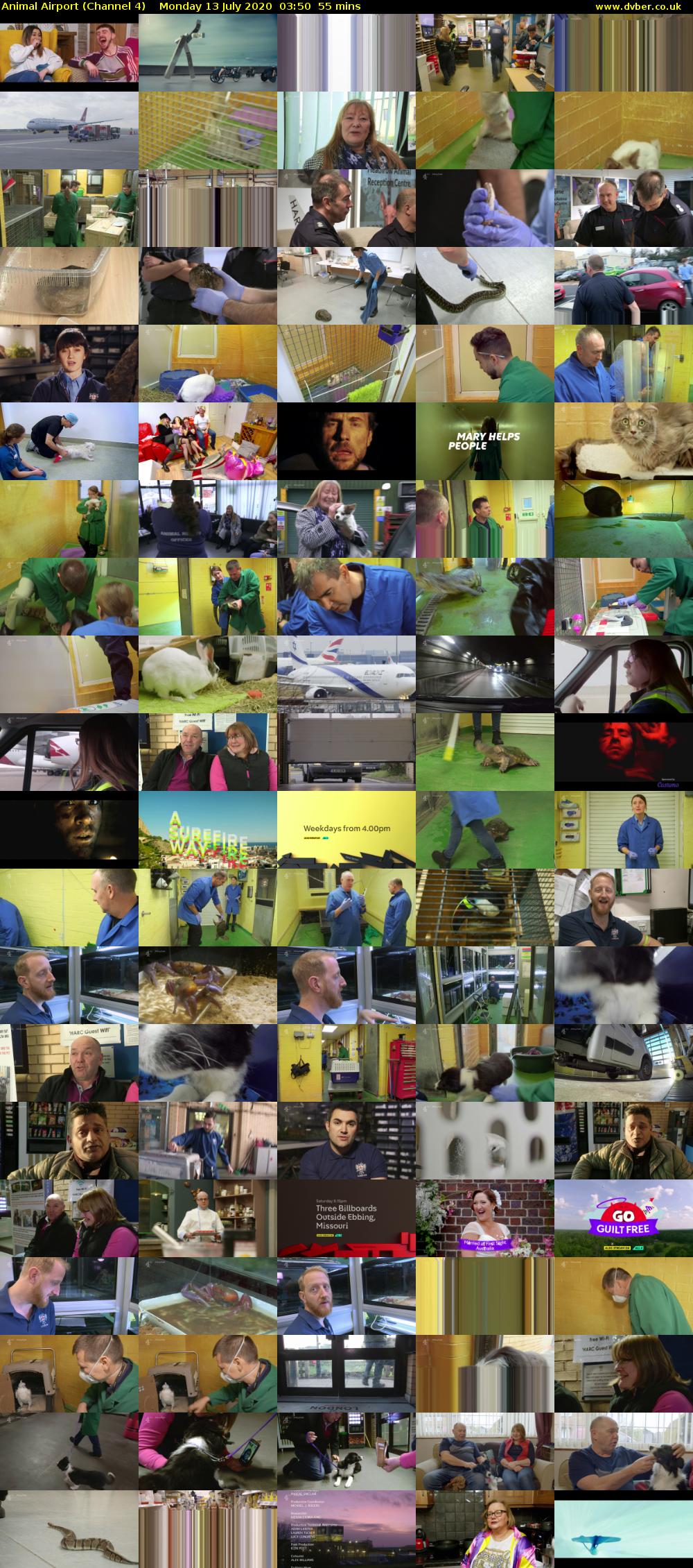Animal Airport (Channel 4) Monday 13 July 2020 03:50 - 04:45