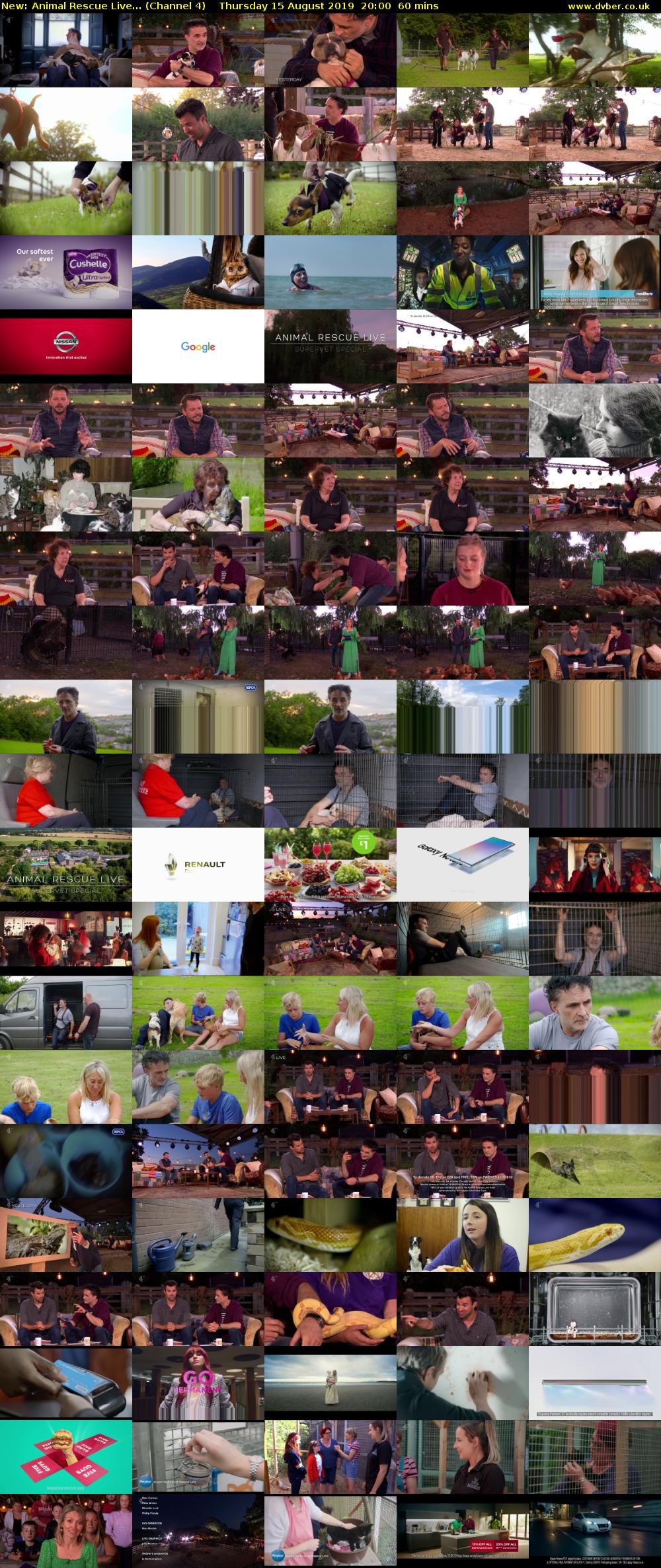Animal Rescue Live... (Channel 4) Thursday 15 August 2019 20:00 - 21:00