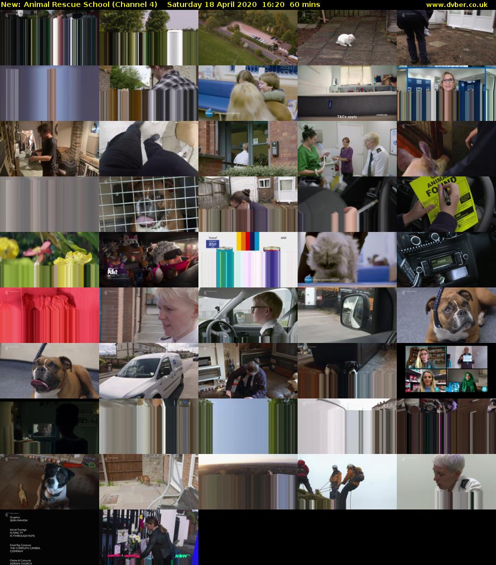 Animal Rescue School (Channel 4) Saturday 18 April 2020 16:20 - 17:20