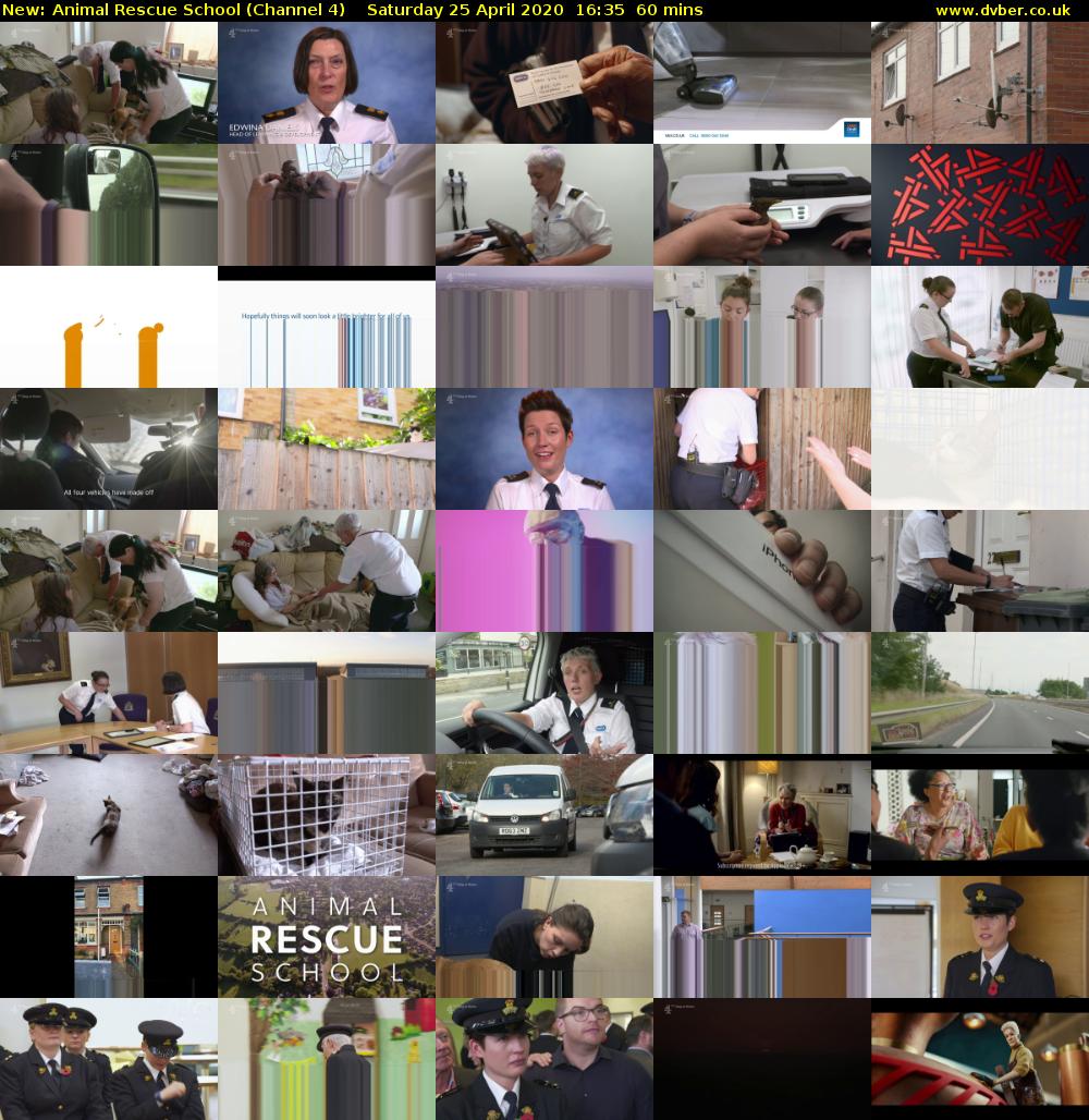 Animal Rescue School (Channel 4) Saturday 25 April 2020 16:35 - 17:35