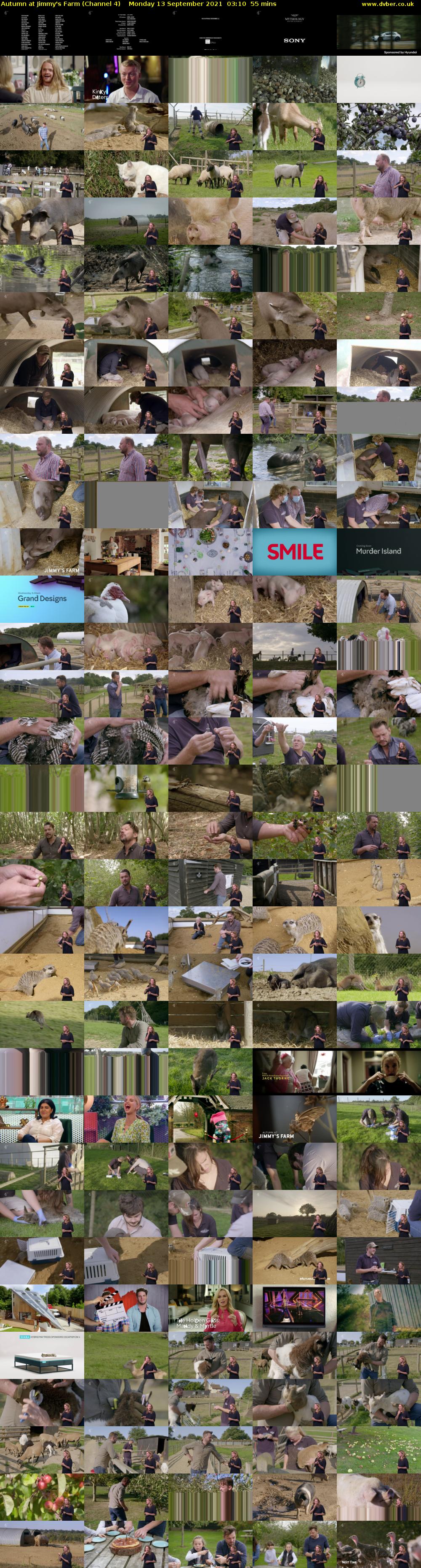 Autumn at Jimmy's Farm (Channel 4) Monday 13 September 2021 03:10 - 04:05
