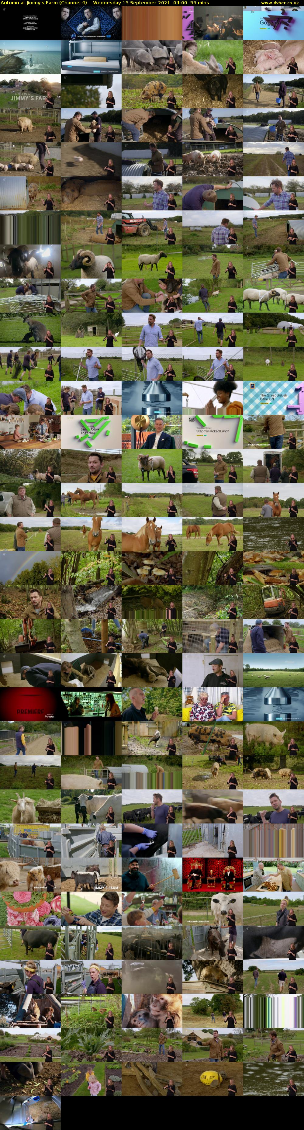 Autumn at Jimmy's Farm (Channel 4) Wednesday 15 September 2021 04:00 - 04:55