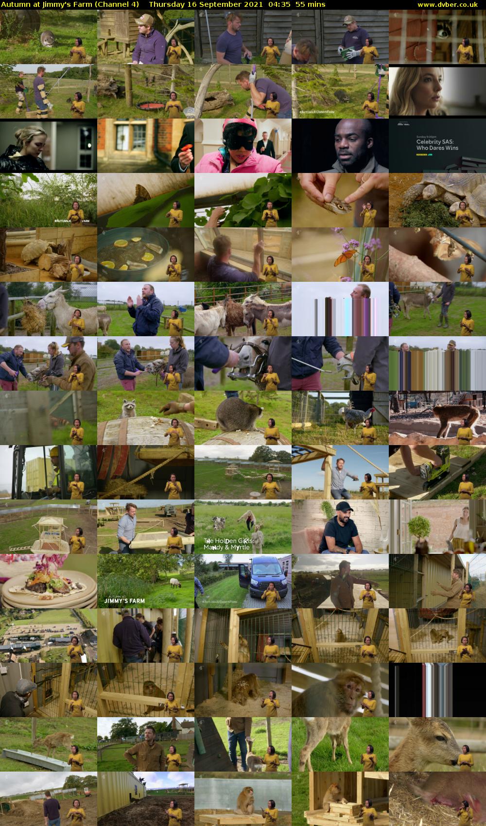 Autumn at Jimmy's Farm (Channel 4) Thursday 16 September 2021 04:35 - 05:30