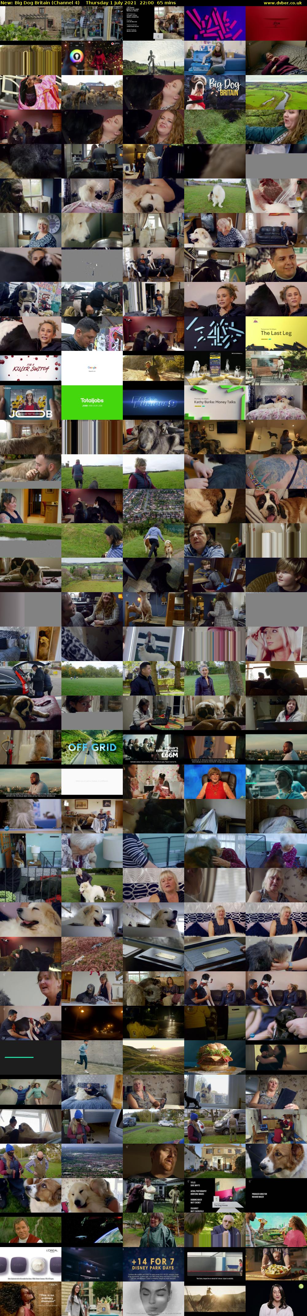 Big Dog Britain (Channel 4) Thursday 1 July 2021 22:00 - 23:05