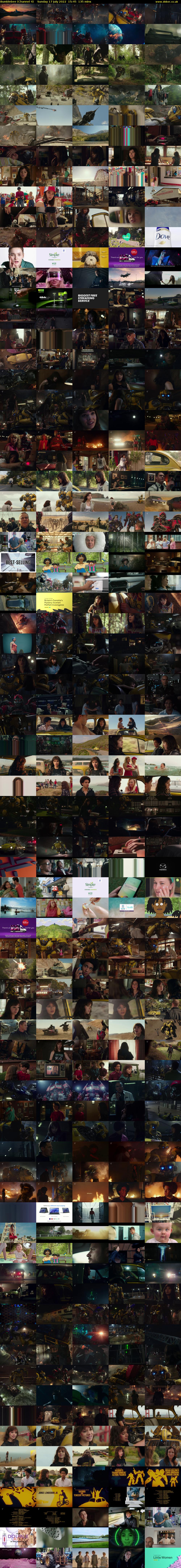 Bumblebee (Channel 4) Sunday 17 July 2022 15:45 - 18:00