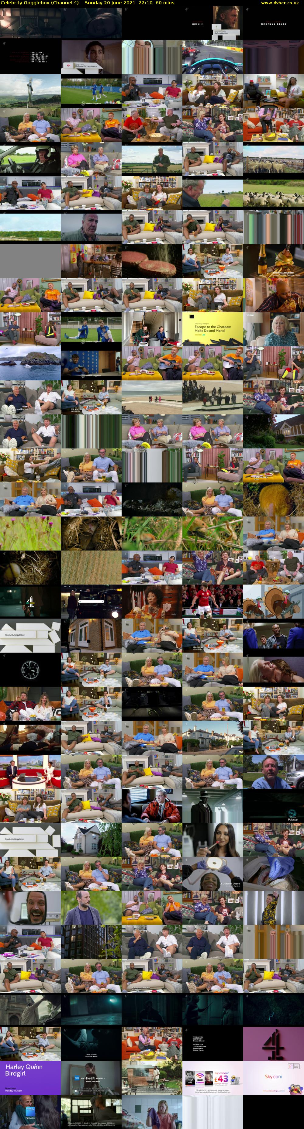 Celebrity Gogglebox (Channel 4) Sunday 20 June 2021 22:10 - 23:10
