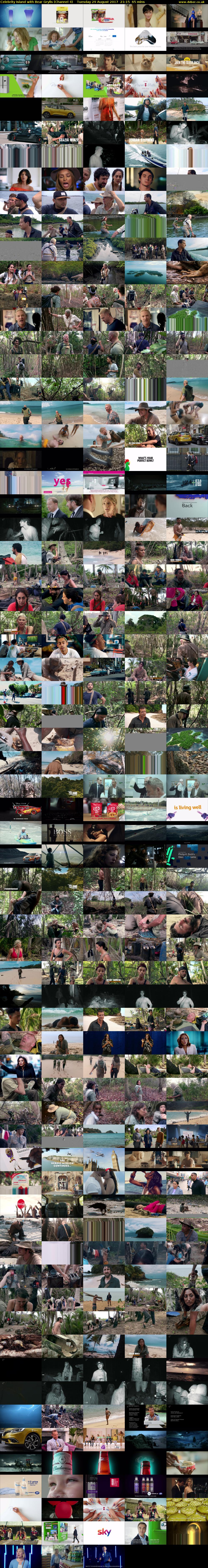 Celebrity Island with Bear Grylls (Channel 4) Tuesday 29 August 2017 21:15 - 22:20