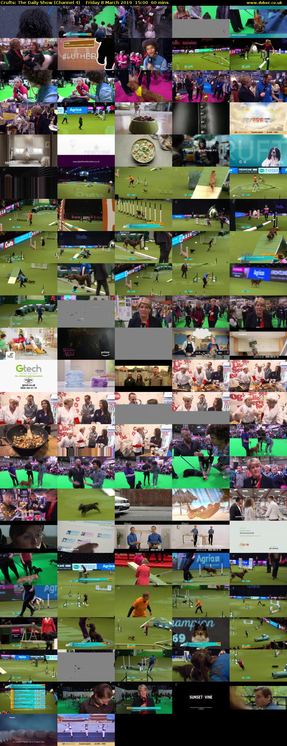 Crufts: The Daily Show (Channel 4) Friday 8 March 2019 15:00 - 16:00