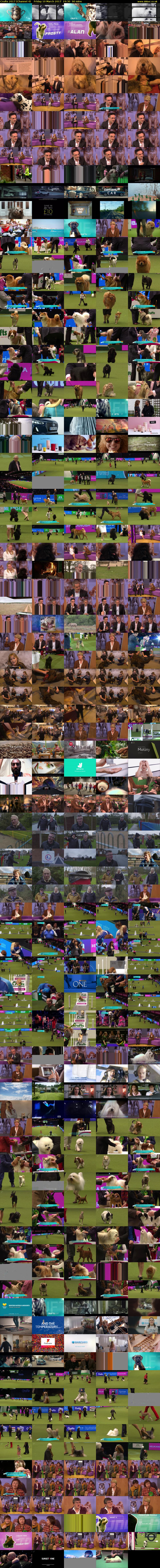 Crufts 2017 (Channel 4) Friday 10 March 2017 19:30 - 21:00