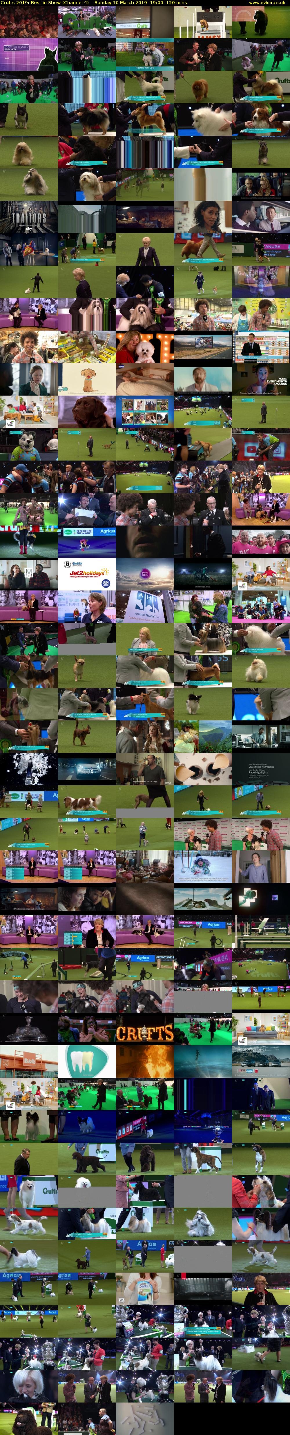 Crufts 2019: Best in Show (Channel 4) Sunday 10 March 2019 19:00 - 21:00