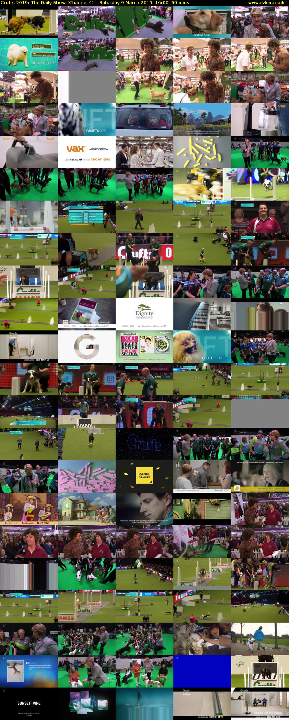 Crufts 2019: The Daily Show (Channel 4) Saturday 9 March 2019 16:00 - 17:00