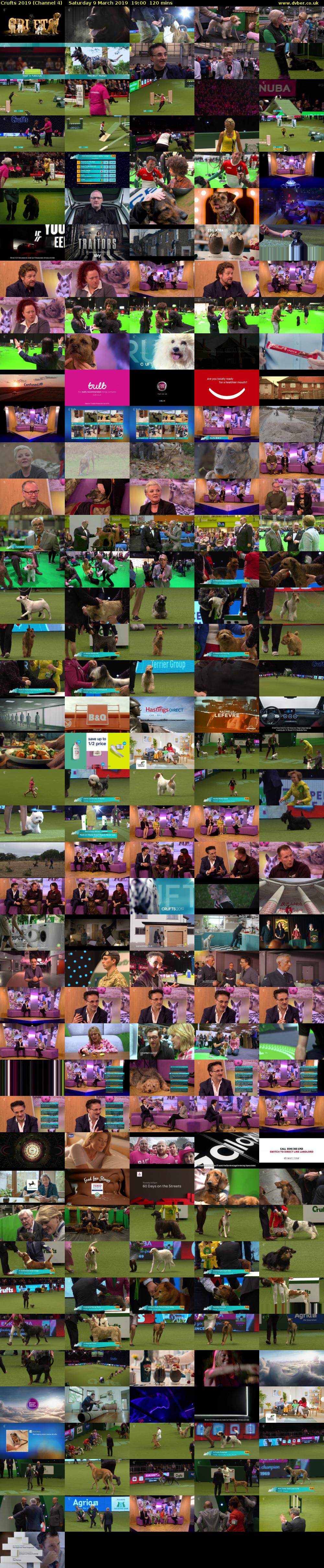 Crufts 2019 (Channel 4) Saturday 9 March 2019 19:00 - 21:00
