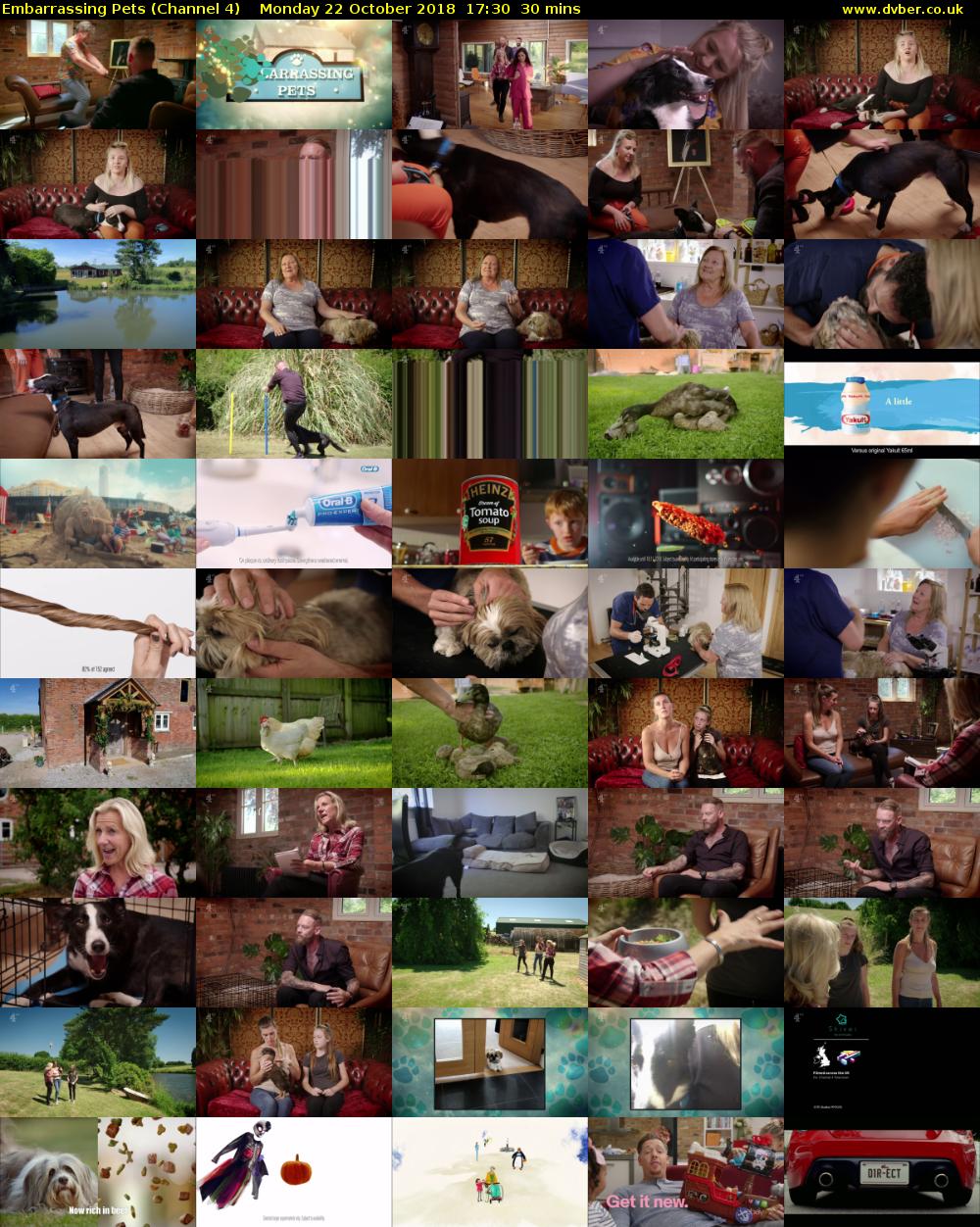 Embarrassing Pets (Channel 4) Monday 22 October 2018 17:30 - 18:00