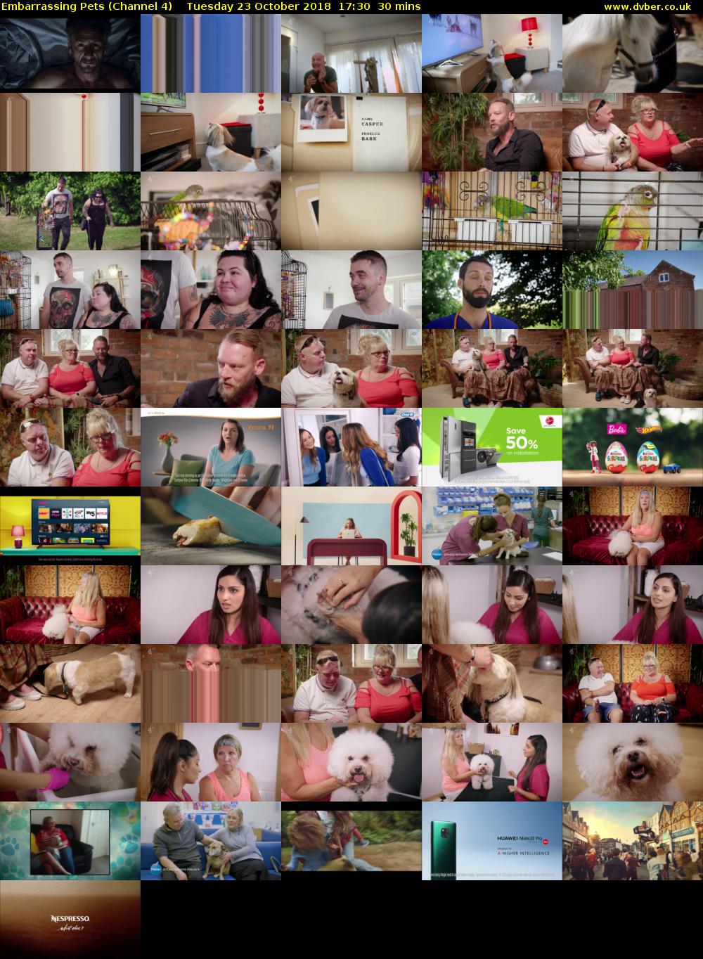 Embarrassing Pets (Channel 4) Tuesday 23 October 2018 17:30 - 18:00
