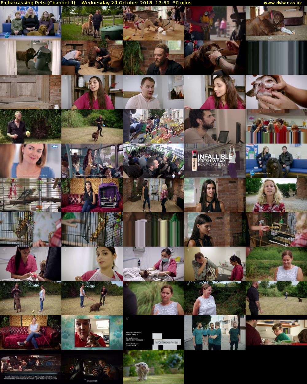 Embarrassing Pets (Channel 4) Wednesday 24 October 2018 17:30 - 18:00