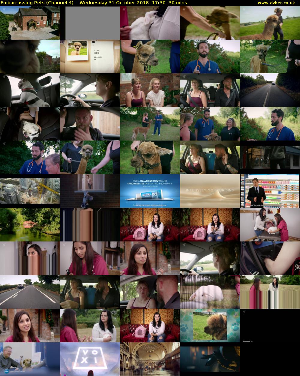 Embarrassing Pets (Channel 4) Wednesday 31 October 2018 17:30 - 18:00