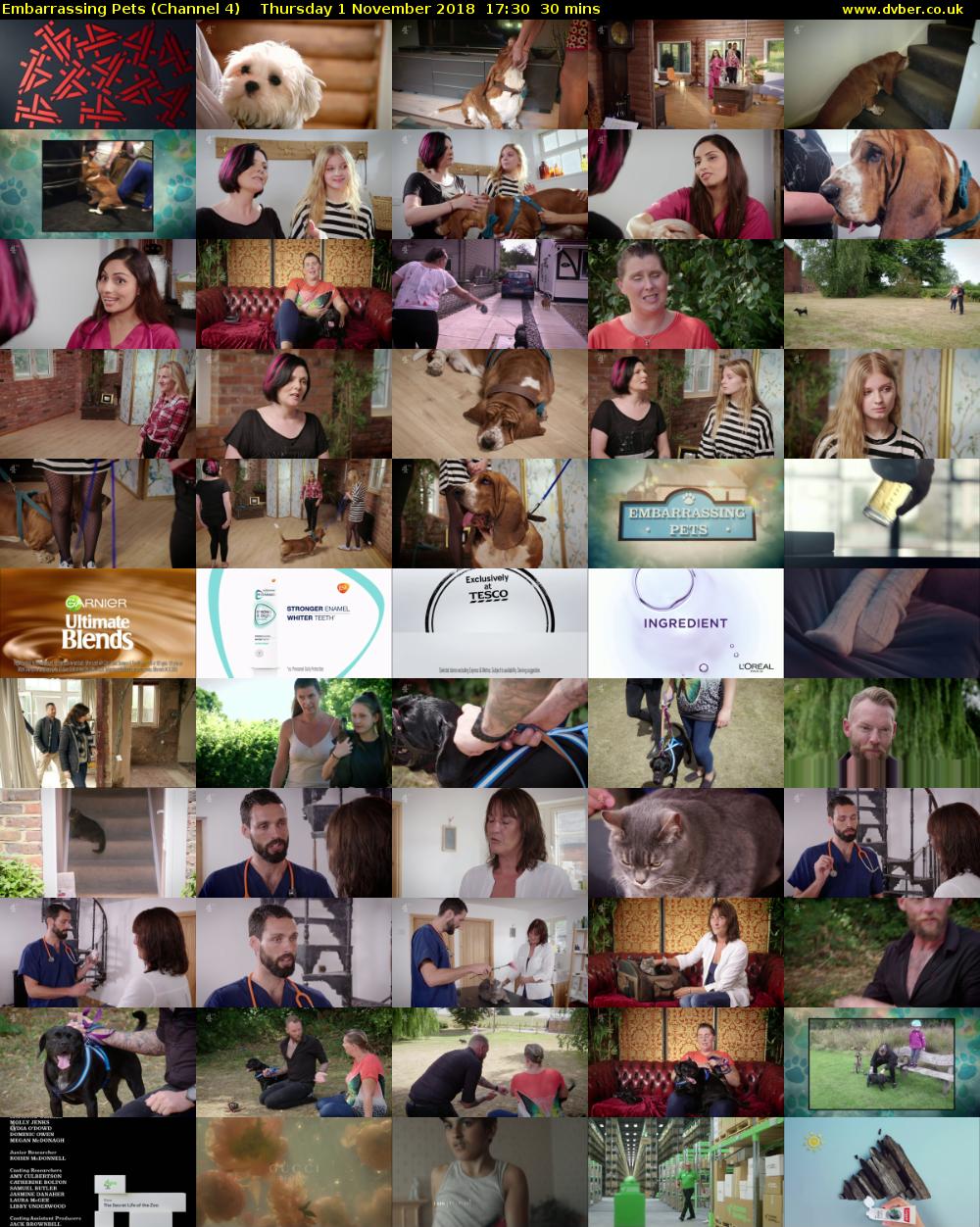 Embarrassing Pets (Channel 4) Thursday 1 November 2018 17:30 - 18:00