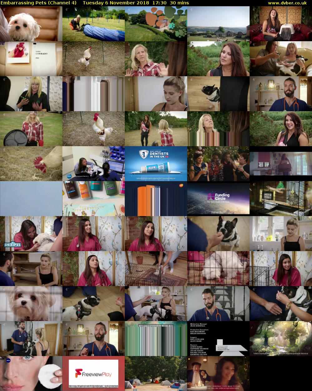 Embarrassing Pets (Channel 4) Tuesday 6 November 2018 17:30 - 18:00