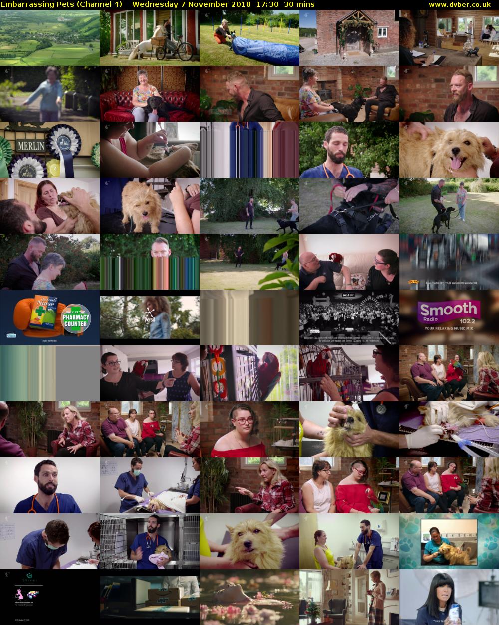 Embarrassing Pets (Channel 4) Wednesday 7 November 2018 17:30 - 18:00