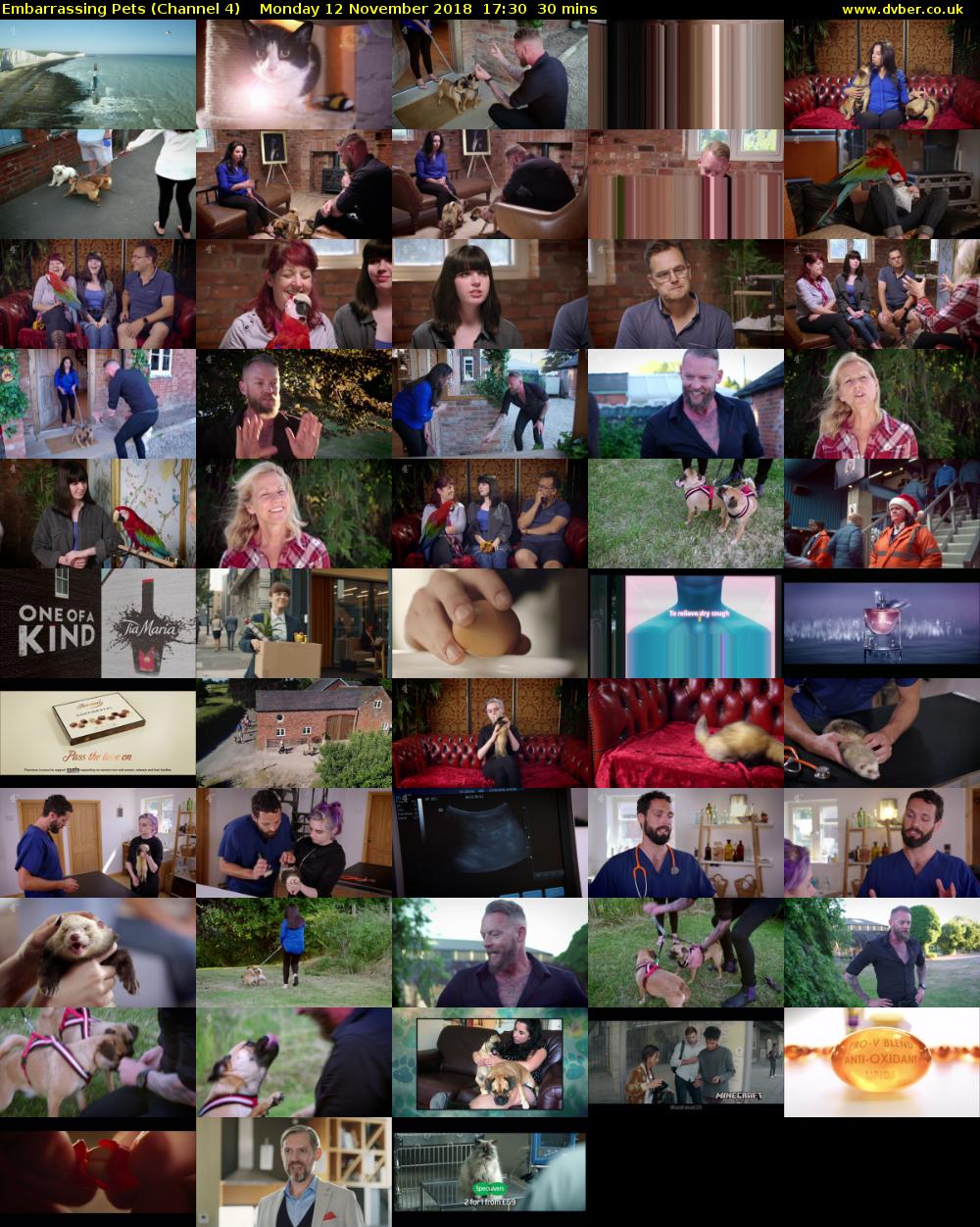 Embarrassing Pets (Channel 4) Monday 12 November 2018 17:30 - 18:00