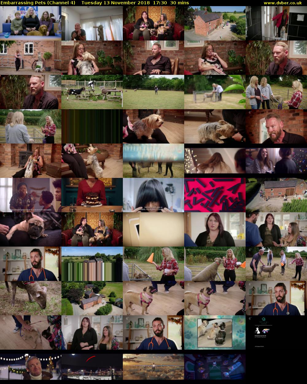 Embarrassing Pets (Channel 4) Tuesday 13 November 2018 17:30 - 18:00