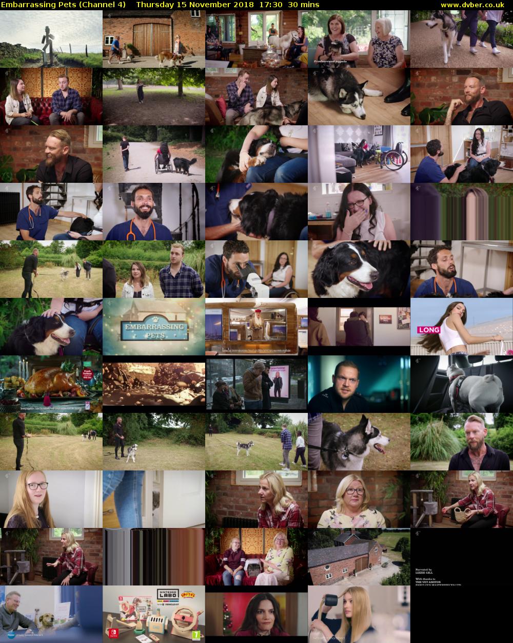 Embarrassing Pets (Channel 4) Thursday 15 November 2018 17:30 - 18:00