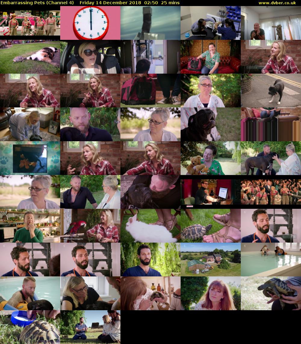 Embarrassing Pets (Channel 4) Friday 14 December 2018 02:50 - 03:15