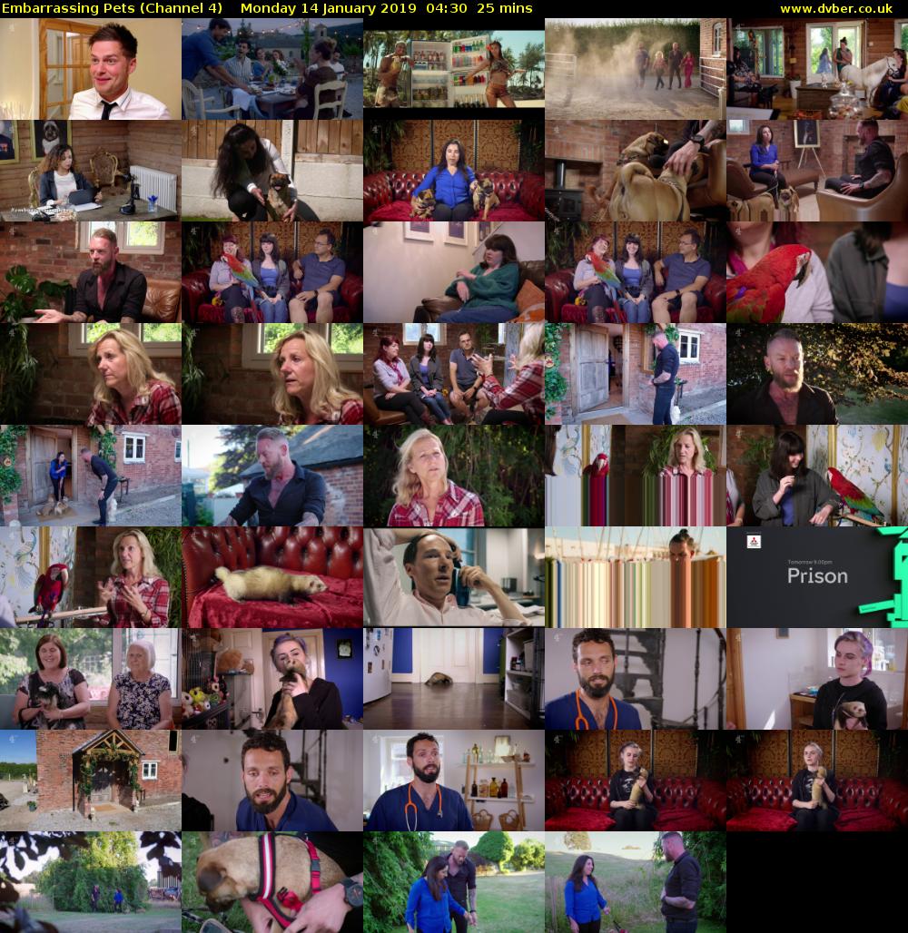 Embarrassing Pets (Channel 4) Monday 14 January 2019 04:30 - 04:55