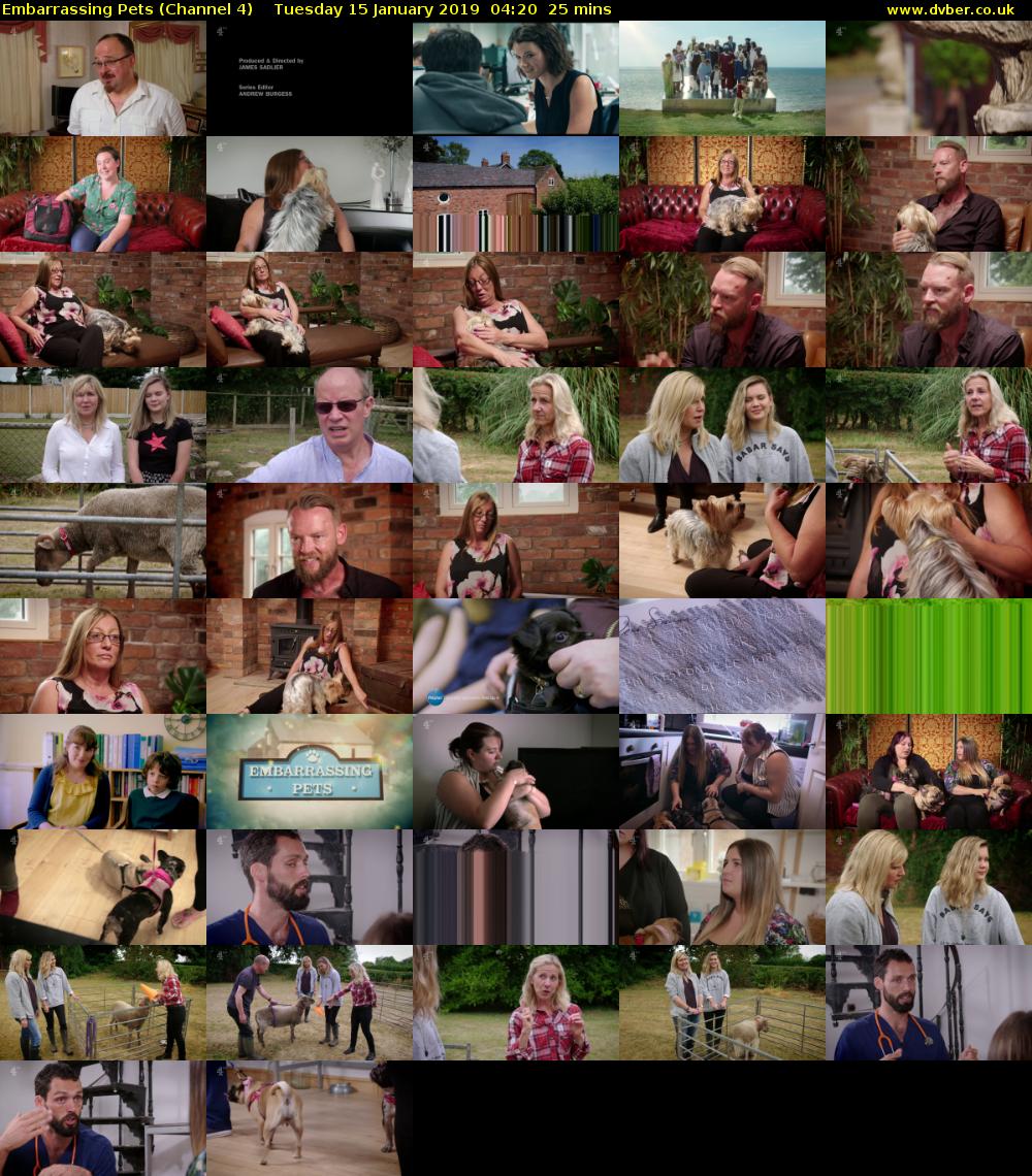 Embarrassing Pets (Channel 4) Tuesday 15 January 2019 04:20 - 04:45