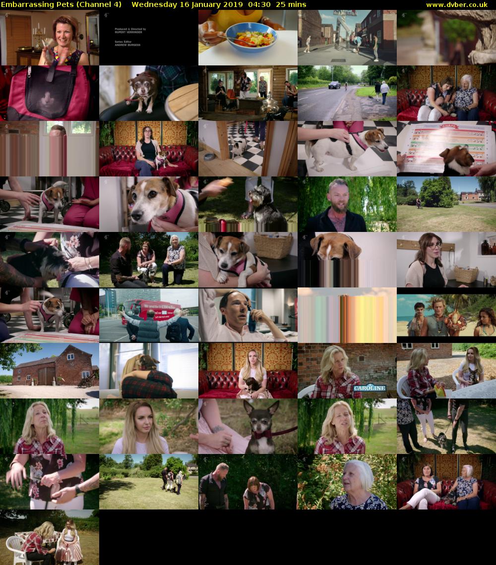 Embarrassing Pets (Channel 4) Wednesday 16 January 2019 04:30 - 04:55
