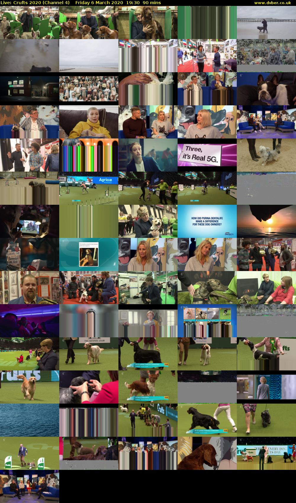 Live: Crufts 2020 (Channel 4) Friday 6 March 2020 19:30 - 21:00