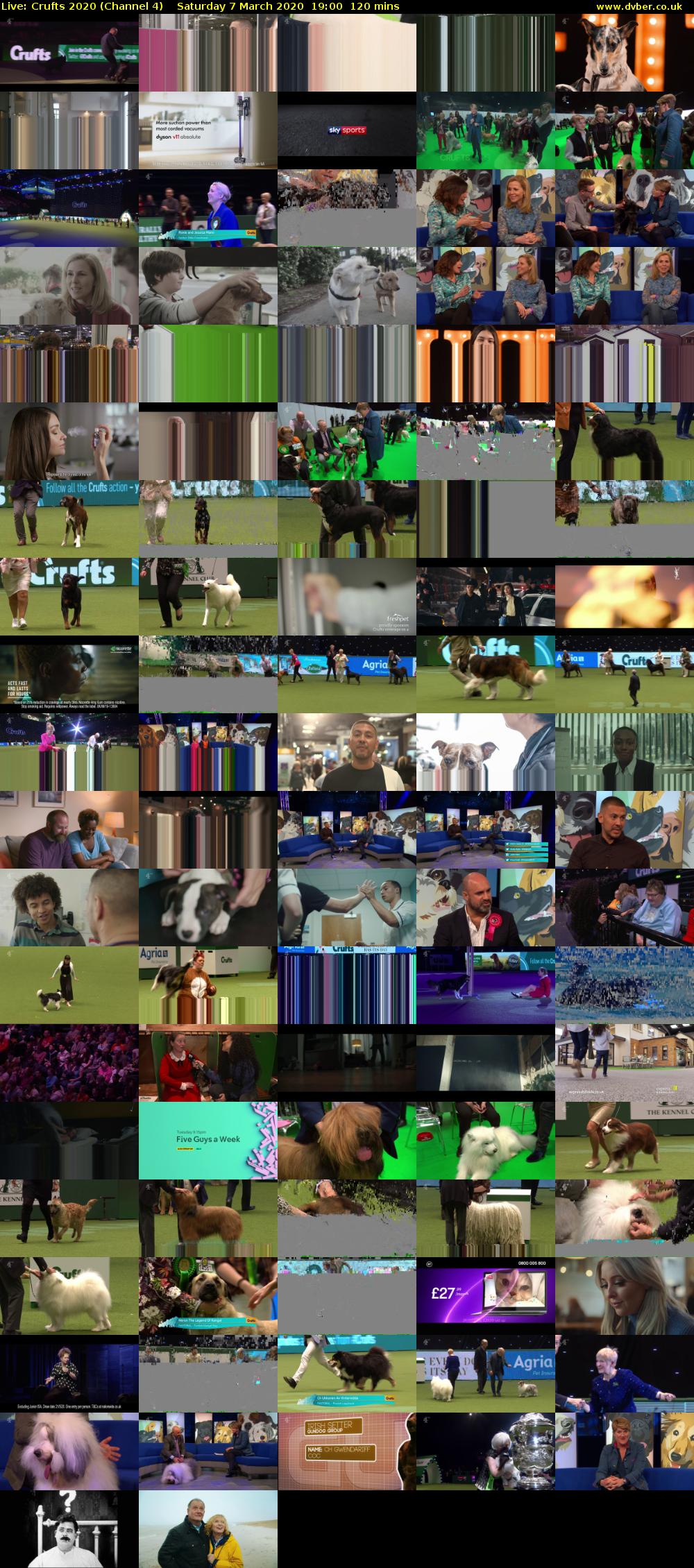 Live: Crufts 2020 (Channel 4) Saturday 7 March 2020 19:00 - 21:00