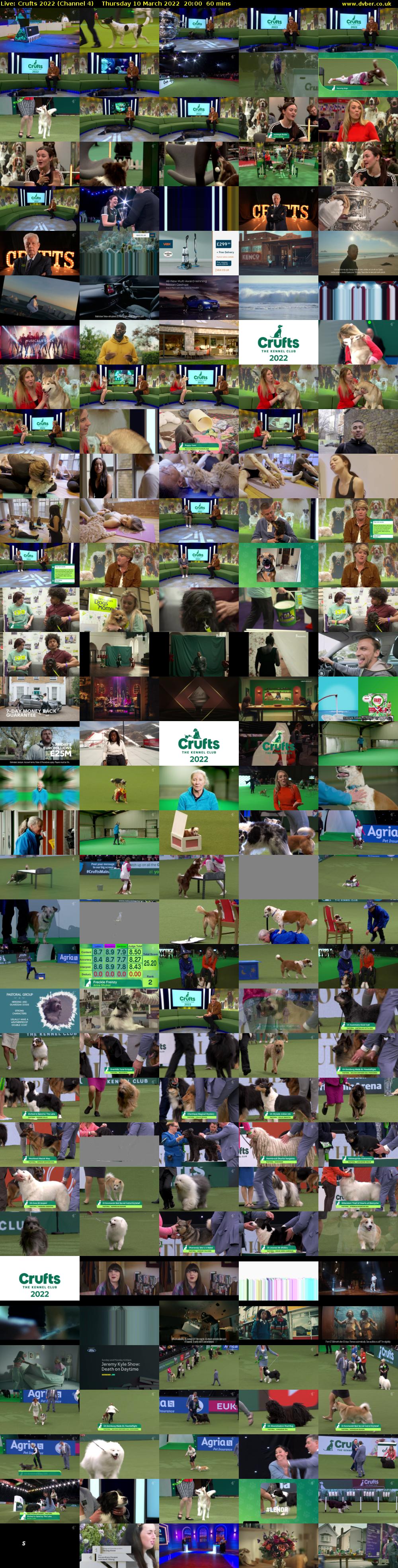 Live: Crufts 2022 (Channel 4) Thursday 10 March 2022 20:00 - 21:00
